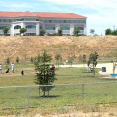 Granite-Park-Sacramento-Dog-Park.jpg