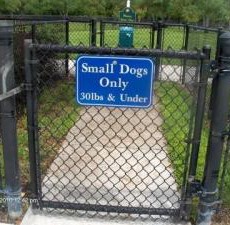 Lake Idamere Dog Park in Tavares, FL