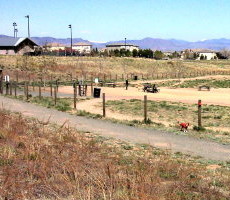Rover’s Run Dog Park in Littleton, CO