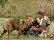 Mayslake Dog Park in Oak Brook, IL