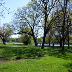 Wilson Park Dog Park in Saint Cloud MN