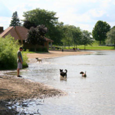 Bow Wow Beach Dog Park in Stow, OH