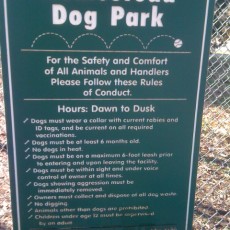 Homestead Dog Park in Chapel Hill NC