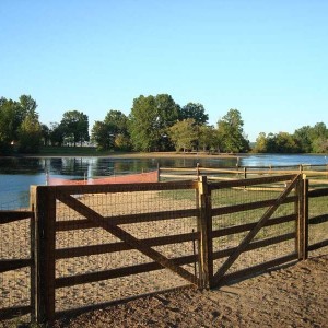 Mosquito Lake Dog Park