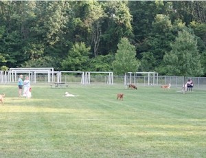 Oak Grove Dog Park