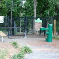 Pavillion Recreational Complex Dog Park