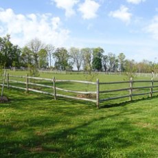 Polk Valley Dog Park