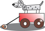 Wag Wagon Pet Services