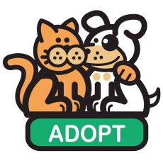 Animal Rescue Foundation, Inc.