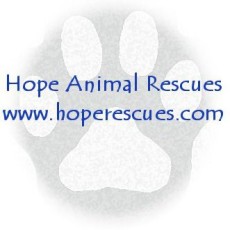 Hope Animal Rescues