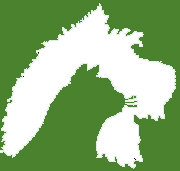 Shamrock Foundation