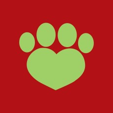 Animal Foundation of Nevada