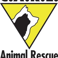 Castaway Animals Rescue Effort (CARE)