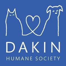 Dakin Animal Shelter