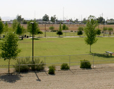 Northern Horizon Park Glendale AZ dog park