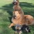 3 amigos