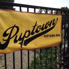 Puptown Dog Park Chicago IL