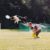 WidgetFrisbee1