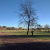 Eau Claire Dog Park