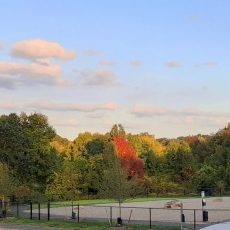 South Hadley Dog Park - Dog Park in South Hadley, MA
