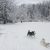Playgroup_Snow4